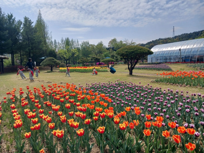 옥천군농업기술센터 농심테마공원, 나들이객 북적북적