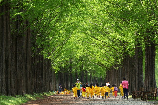 5월 신록 가득한 전남 숲길에서 힐링하세요