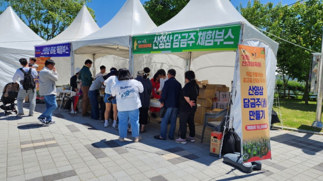 거창군, '제6회 거창韓 거창산양삼축제' 개최