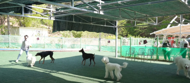 울산 남구, 애견운동공원 6월부터 야간개장