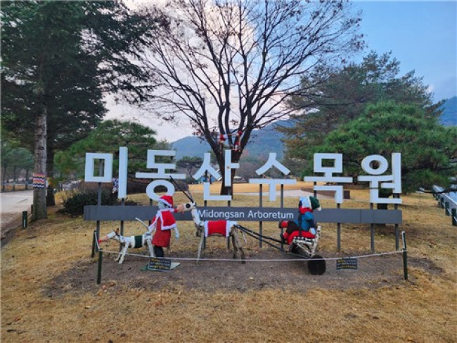 미동산수목원, '나무털옷 전시'로 따뜻한 겨울맞이 준비